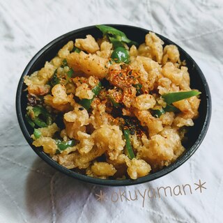 テキトーなのに旨い＊ピーマン天かす丼